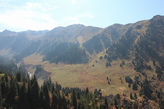 Japanin suku puoli salaisuuksiaSuper xxx porno